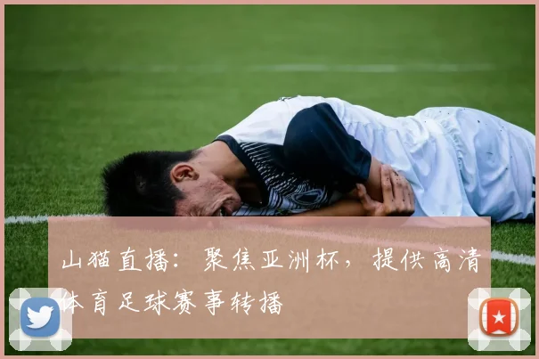 山猫直播：聚焦亚洲杯，提供高清体育足球赛事转播