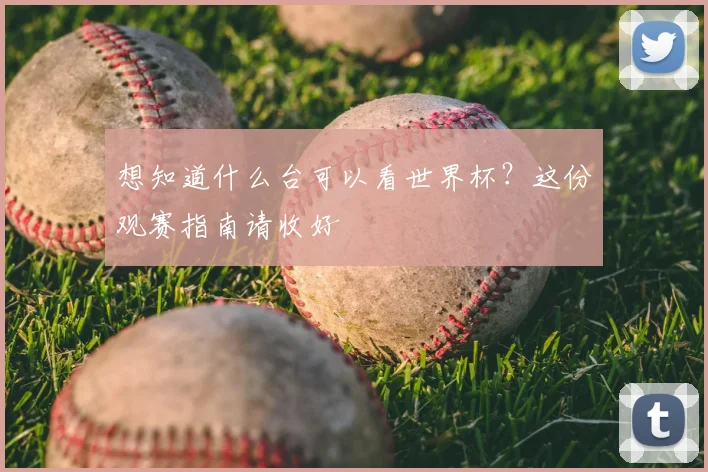 想知道什么台可以看世界杯？这份观赛指南请收好