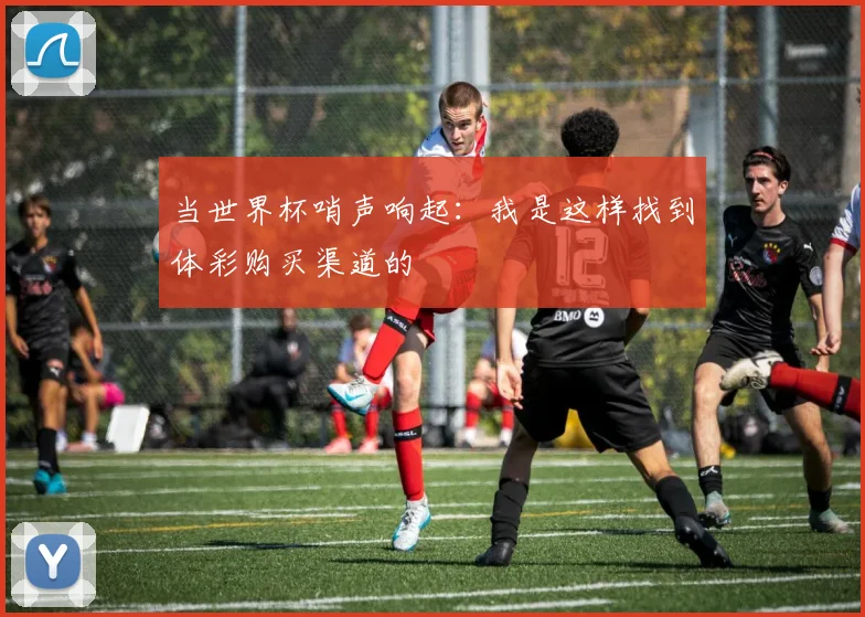 当世界杯哨声响起：我是这样找到体彩购买渠道的