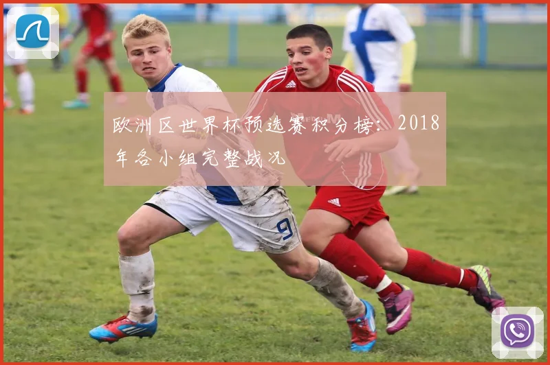 欧洲区世界杯预选赛积分榜：2018年各小组完整战况