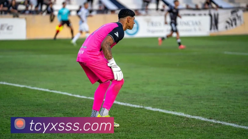 App Interface Preview