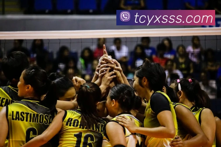 九游体育j9官网APP 封面图